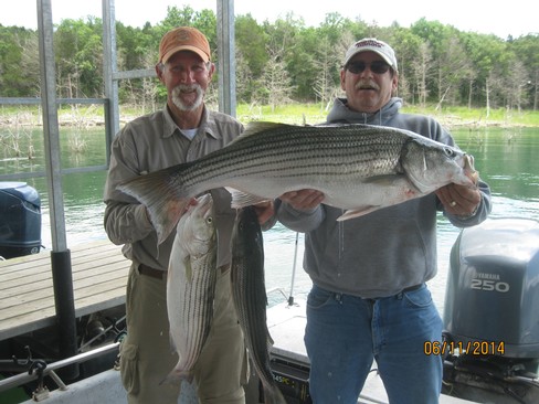 Nice Striped Bass